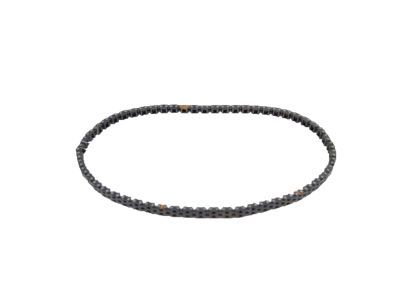 Buick 12637743 Secondary Chain