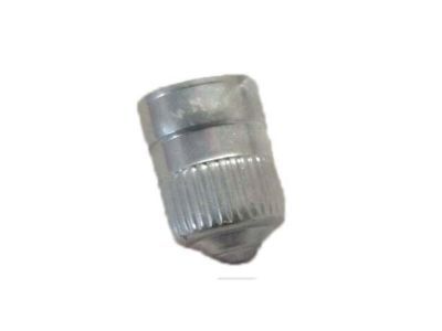 Cadillac 25731359 TPMS Sensor Cap