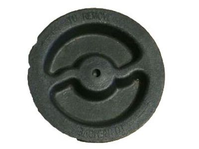 Pontiac 10408516 Spare Tire Panel Fastener