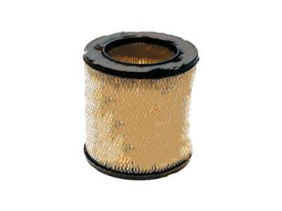 Buick 25043504 Air Filter