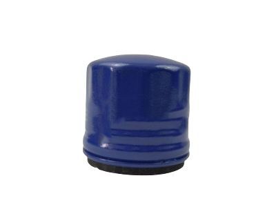 Chevy 29539579 Filter