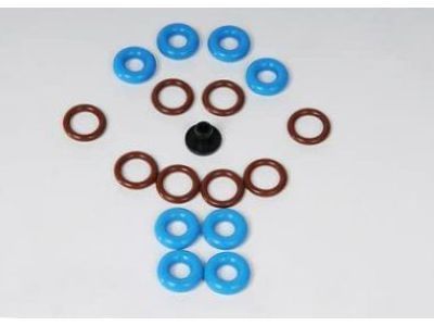 Chevy 19169305 Injector Seal Kit