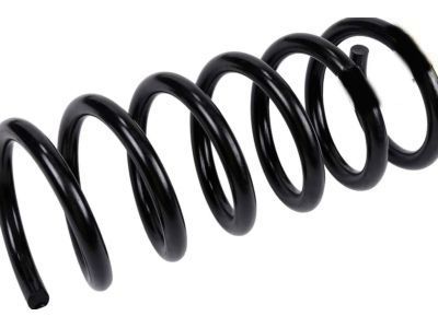 Buick 95174968 Coil Spring