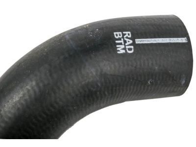 GM 19258420 Radiator Outlet Hose