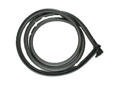 2023 Chevy Express 3500 Weather Strip - 19259359