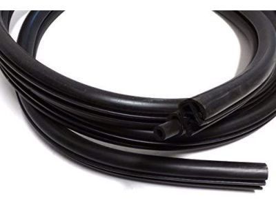 Buick Terraza Weather Strip - 10449198