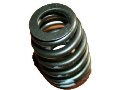 Buick 10166343 Valve Springs