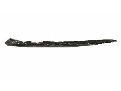 Chevy 15824889 Side Molding