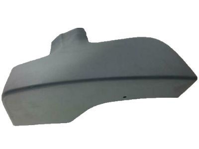 Chevy 15769301 Front Molding