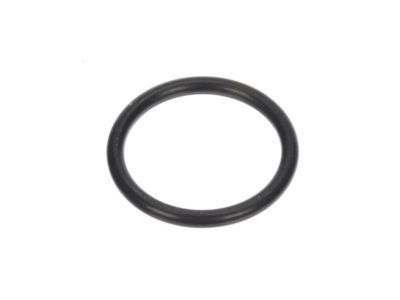 Buick 10189205 By-Pass Pipe Seal