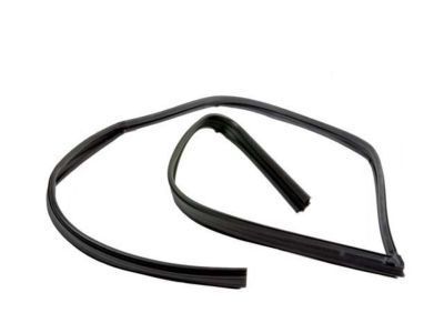 Pontiac Door Seal - 88974657