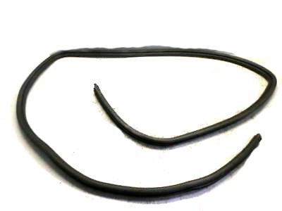 2002 Buick Rendezvous Door Seal - 10313535