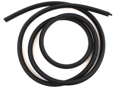 Chevy S10 Weather Strip - 15100042