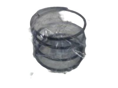 GMC 14042606 Outer Spring