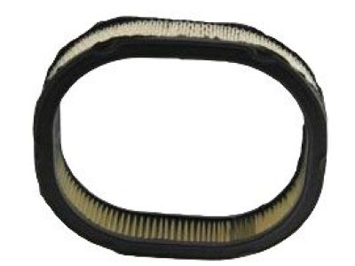 Buick 8996555 Air Filter