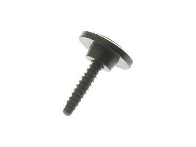 Chevy 92139212 Rocker Molding Bolt