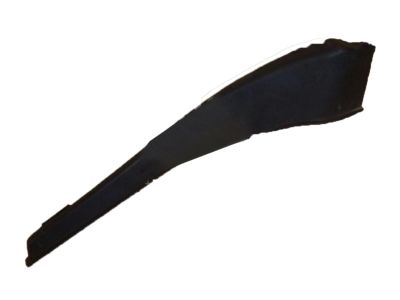 Buick 95137390 Side Extension