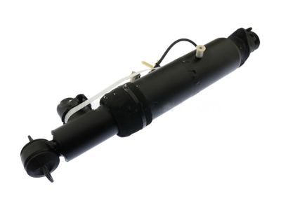 Cadillac 22064873 Shock Absorber