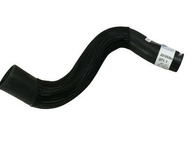 Chevy 23105392 Lower Hose