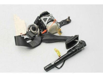 GM 19256230 Belt Kit,Driver Seat (Retractor Side) (W/ Pre, Tensioner)*Ebony