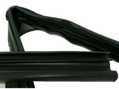 Cadillac 20869144 Run Weatherstrip