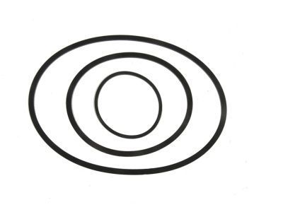 GMC 19300335 Extension Housing Seal