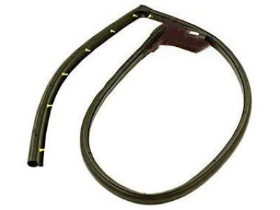 GMC 15821952 Lower Weatherstrip