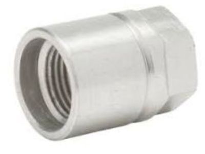 GMC 13581557 TPMS Sensor Nut