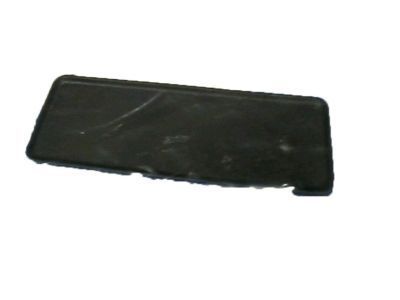 GM 96951326 Strip, Rear Side Door Rubber *Jet Black