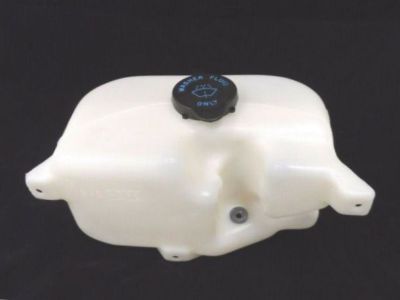 Pontiac Montana Washer Reservoir - 19120010