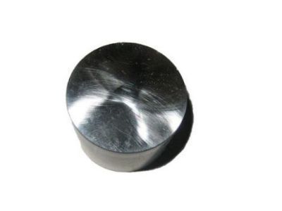 Chevy Lash Adjuster - 24438041