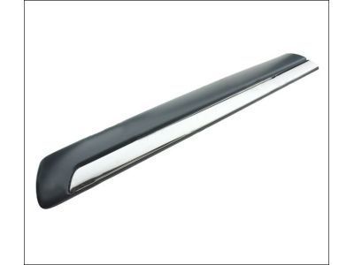 GMC 15176375 Body Side Molding