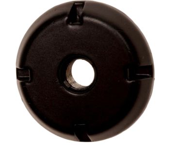 GMC 22549794 Mast Nut