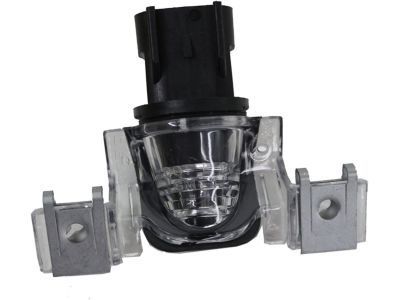 Hummer 22799748 License Lamp