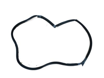 Pontiac 10337869 Weatherstrip