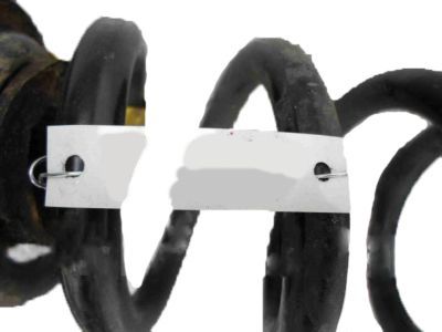 Chevy 23334607 Coil Spring