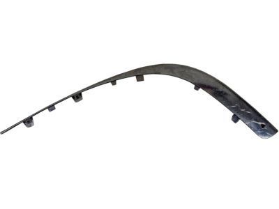 Buick 25623863 Side Molding