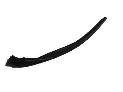 Chevy 20918020 Side Molding