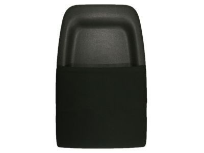 GM 20926188 Panel Assembly, P/D Seat Back Cushion Finish *Ebony