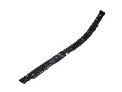 Chevy Weather Strip - 23412415