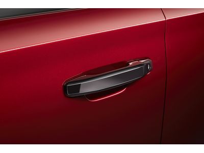 Cadillac 23236148 HANDLE PKG,FRONT & REAR SIDE DOOR OUTSIDE(INCLUDES 2-6)(BLACK)(INSTALL 1.20)(0.793 KGS)