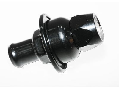 Chevy 12567733 Check Valve