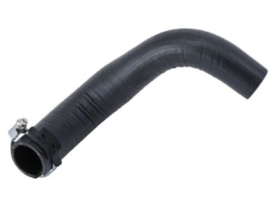 Saturn 22709616 Lower Hose