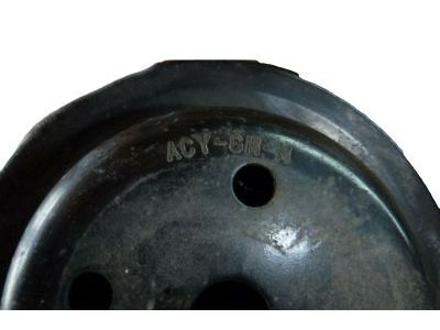 Buick 10215266 Pulley