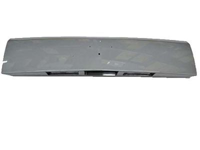 Chevy 96955077 Center Panel