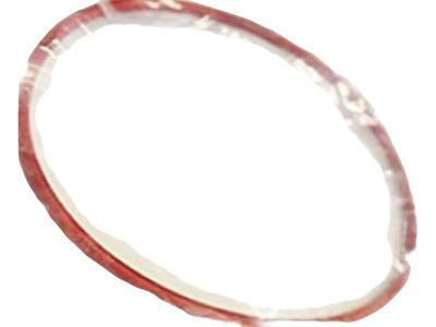 Cadillac DeVille Water Pump Gasket - 12562004