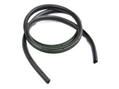 Chevy Cobalt Weather Strip - 15798473