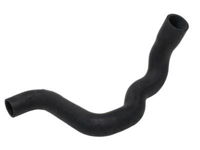 GMC 15659613 Lower Hose