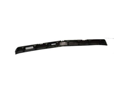 GM 23193508 Molding, Front Bumper Fascia *Lessfiish