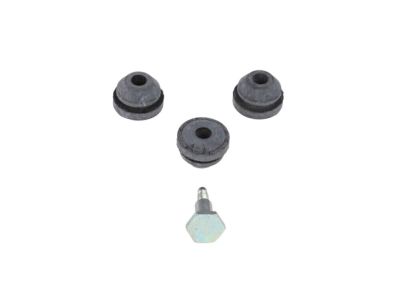 Pontiac 10386649 Modulator Bushing Kit